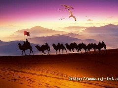 智慧制造 賦能未來丨柬埔寨馬德望海螺光伏儲能電站項目并網(wǎng)發(fā)電