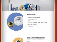 上海德薩堡傳感器有限公司總經(jīng)理 王欣2022新春寄語(yǔ)