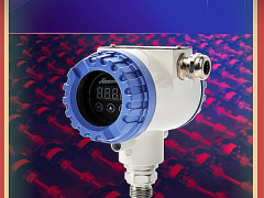 南儀測(cè)控技術(shù)（上海）有限公司總經(jīng)理 桂艷華  2022新春寄語(yǔ)