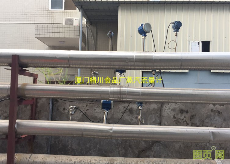 福建食品蒸汽流量計(jì)