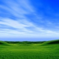 2026第33屆河北（石家莊）醫(yī)療器械展覽會(huì)