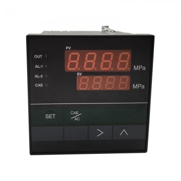 隆旅智能數(shù)顯壓力顯示/控制儀表 傳