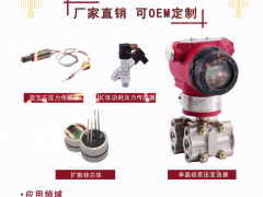 上海朝輝壓力儀器有限公司 營銷總監(jiān) 彭義 2023年新春寄語