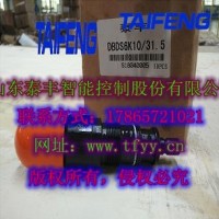 泰豐直動式溢流閥DBDS10K現(xiàn)貨批量供應