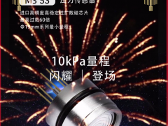 山東佰測傳感科技股份有限公司  副總經(jīng)理 侯欣  2023年新春寄語