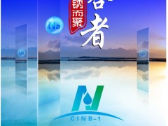 【參會(huì)指南】超200家單位報(bào)名，五十六場(chǎng)精彩報(bào)告，共同開啟鈉電盛會(huì)