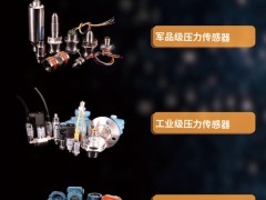 國(guó)內(nèi)變送器市場(chǎng)的競(jìng)爭(zhēng)