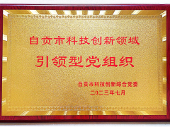 中共四川惠科達儀表制造有限公司支部委員會榮獲“自貢市科技創(chuàng)新領域引領型黨組織”