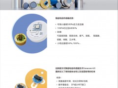 德薩堡公司 作為德國(guó)E+H傳感器的唯一授權(quán)經(jīng)銷商的產(chǎn)品優(yōu)勢(shì)及合作優(yōu)惠