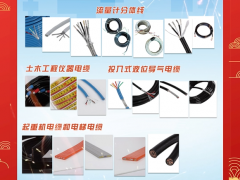 盛邦電線電纜(江蘇)有限公司  總經(jīng)理   張晉民  2024年新春寄語