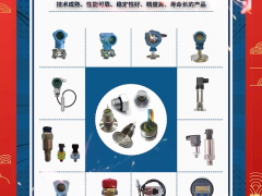 南京中創(chuàng)電子科技有限公司總經(jīng)理  褚益峰 2024年新春寄語