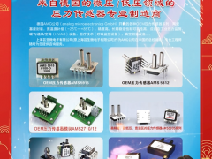 上海蕓圣微電子有限公司 總經(jīng)理 施林生  2024年新春寄語