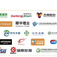 2025國(guó)際退役動(dòng)力電池、風(fēng)光組件資源化循環(huán)利用技術(shù)論壇