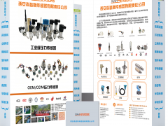 西安森瑟斯傳感器攜手十家儀表廠家亮相廣州國(guó)際計(jì)量展-展后回顧7