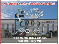 浙江泰索科技成為《2025年儀表摜蛋撲克牌》梅花3得主-系列報(bào)道56