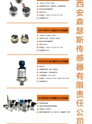 壓力傳感器＿智能差壓變送器＿無(wú)線(xiàn)壓力變送器 ＿控制儀表  多國(guó)儀表展   上海傳感器展