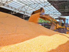 上榜“2025四川省綜合競(jìng)爭(zhēng)力百?gòu)?qiáng)鎮(zhèn)” 仁壽縣這兩個(gè)鄉(xiāng)鎮(zhèn)憑