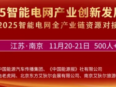 11月南京，這幾位重磅嘉賓將會出席2025智能電網(wǎng)大會！