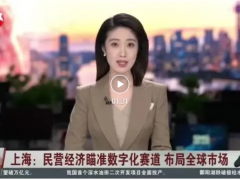 【大賽企業(yè)媒體報道】民營經(jīng)濟瞄準數(shù)字化賽道，布局全球市