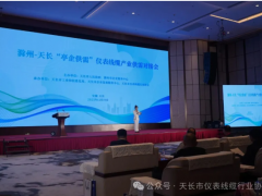 轉(zhuǎn)發(fā)|亭企供需促對(duì)接，儀表線纜贏新機(jī)！滁州—天長(zhǎng)“亭企供需”儀表線纜產(chǎn)業(yè)供需對(duì)接會(huì)圓滿舉辦