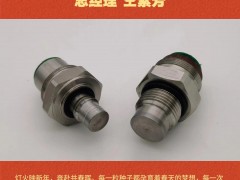 深圳市立鑫瑞測控科技有限公司 總經(jīng)理 仝素芳2026年新春寄語