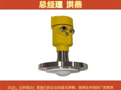 溫州超琪法蘭管件有限公司 總經(jīng)理 洪燕2026年新春寄語