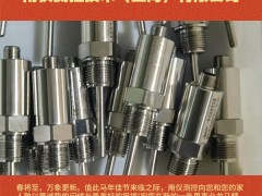 南儀測(cè)控技術(shù)（上海）有限公司2026年新春寄語(yǔ)